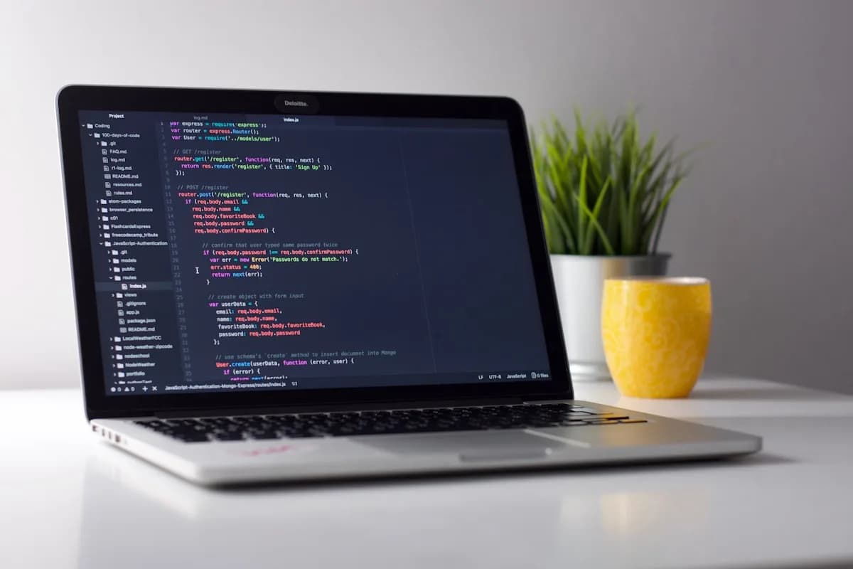 Full website launches